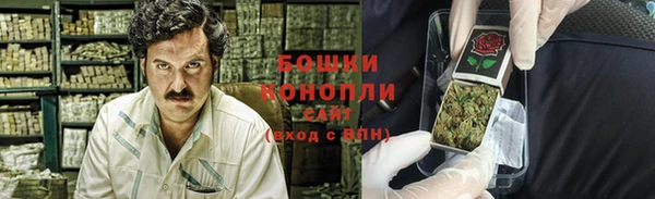 тгк Пересвет