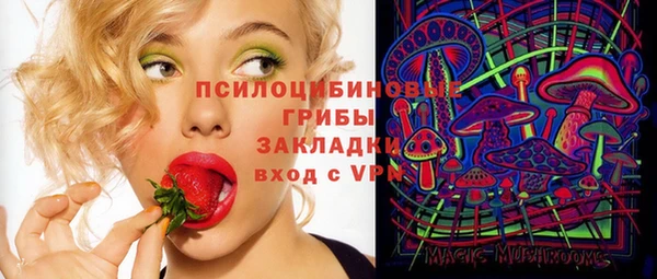 эйфоретик Арсеньев