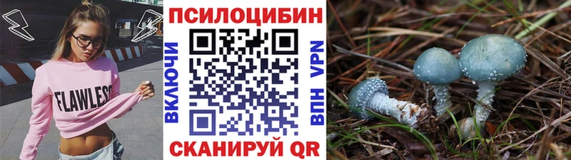 Галлюциногенные грибы Cubensis  Кирово-Чепецк 